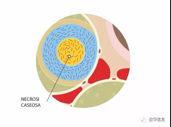 images/146/2019/04/Bn3KNuvPnxoZ3P3pBkXoOQQJXUEBPX.jpg